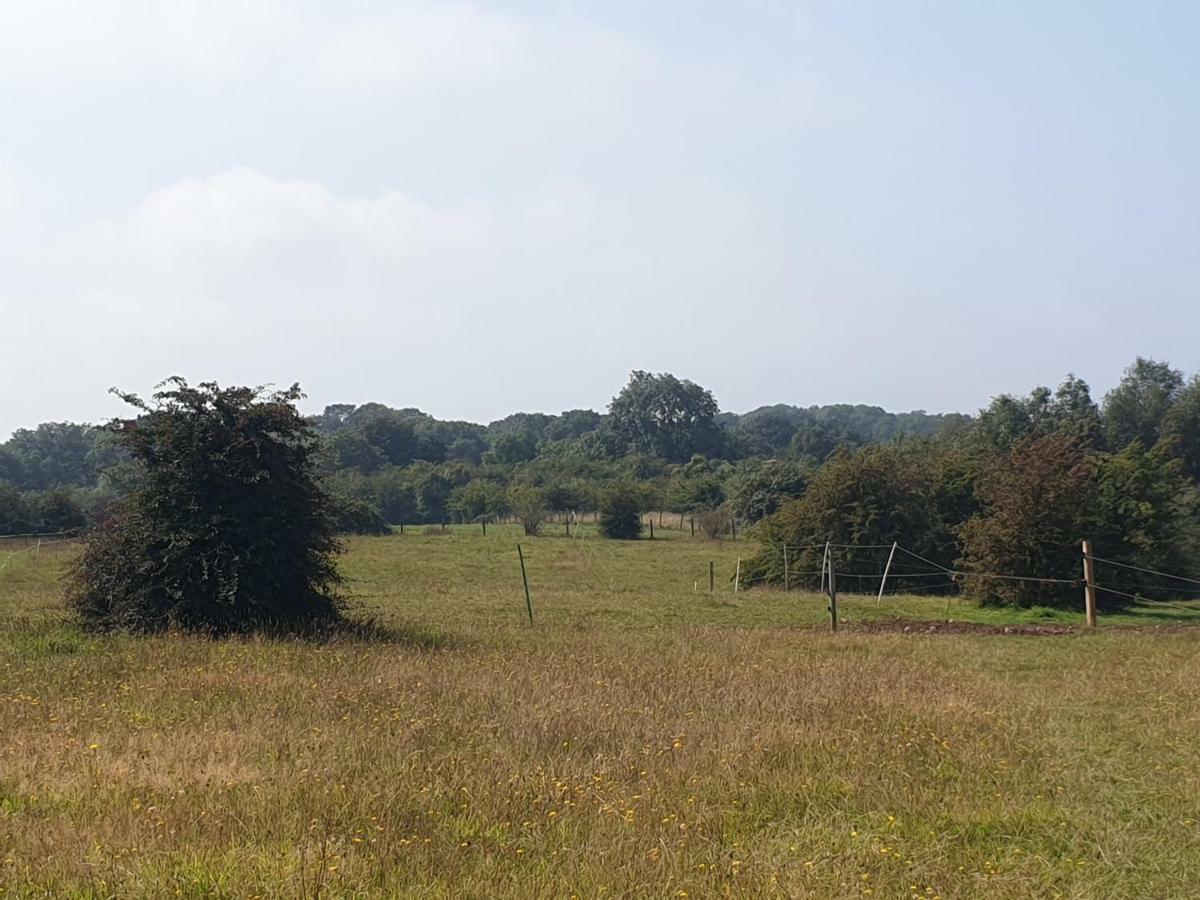 Open Acres Accommodation And Airport Parking Backwell Exteriör bild